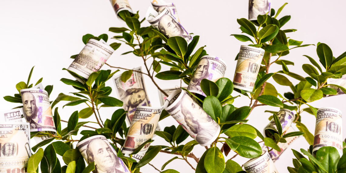 Green plant with clear glass bottle
