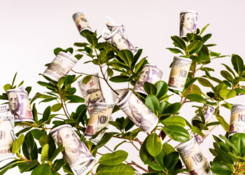 Green plant with clear glass bottle