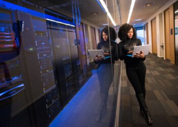 vendéglátás szolgáltatás export