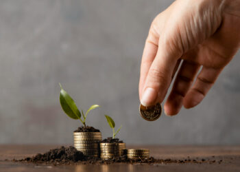 Hova áramlik most az állampapírokból a pénz?